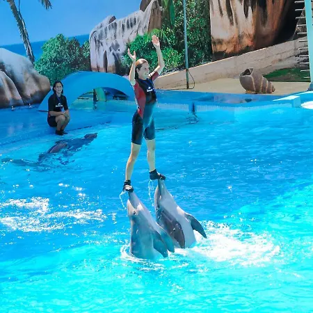 公寓 Old Town Center Walk To