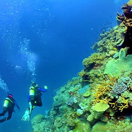 Old Town Center Walk To 公寓 *