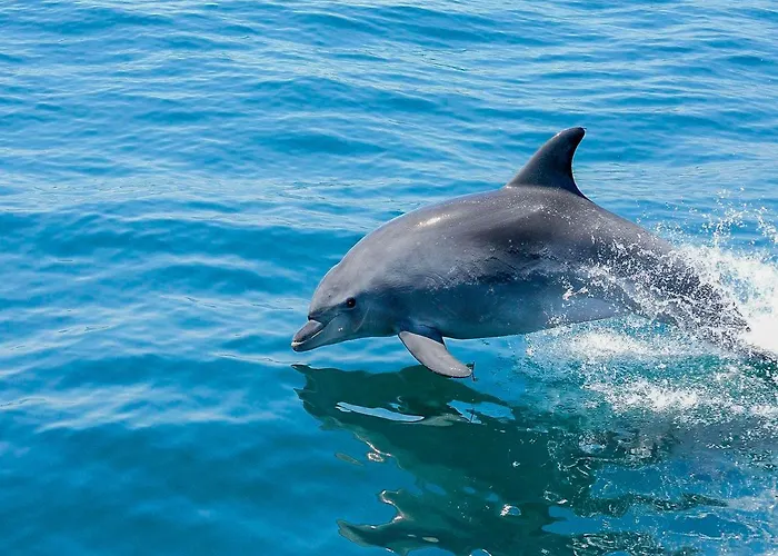 Old Town Center Walk To *